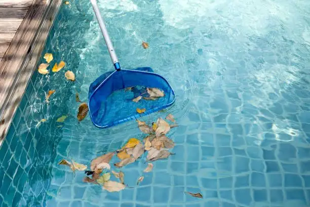 De ce este importantă curățarea piscinei toamna?