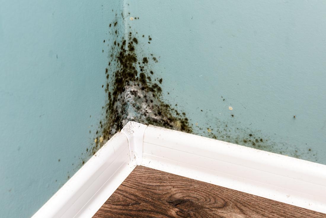 How to Clean Mold from Rooms