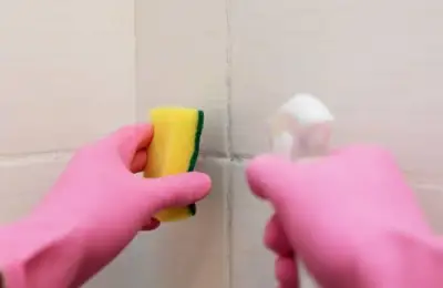 Effective Mold Removal Solutions for the Bathroom
