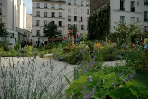 Betonul prinde viață: revoluția verde a grădinilor comunitare și pe acoperișuri în orașele României (2025)