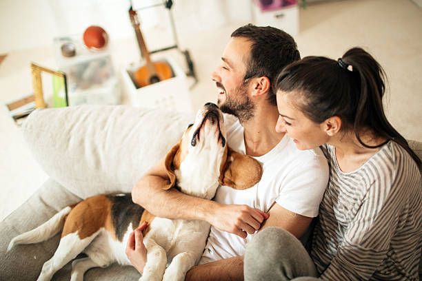 Companion Animals: The Best Therapists?