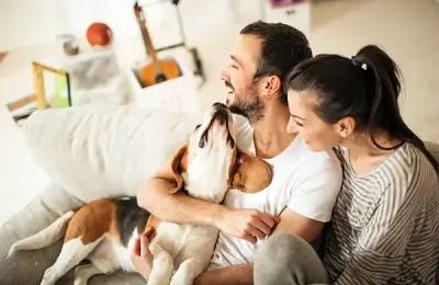 Companion Animals: The Best Therapists?