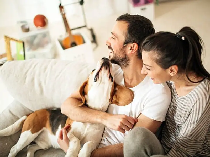 Animalele de companie: cei mai buni terapeuți?