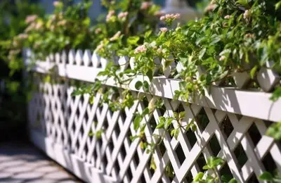 Your Garden Can Be a Corner of Paradise: The Best Tips for Choosing the Right Decorative Elements