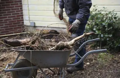 5 Tasks to Complete in Your Household Before Spring Begins