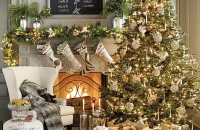 Top 50 Christmas Tree Ideas