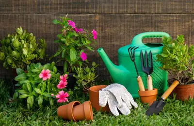 Designing a Year-Round Blooming Flower Garden