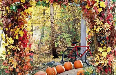 Fall Garden Design Ideas