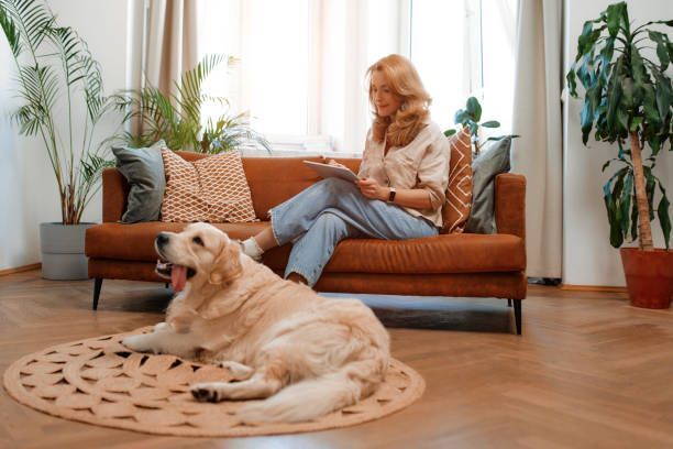 Pets in Apartments: 10 Tips for a Beautiful Life Together