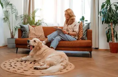 Pets in Apartments: 10 Tips for a Beautiful Life Together