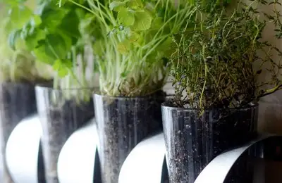 20 Amazing Tricks and Practical Tips for Your Garden