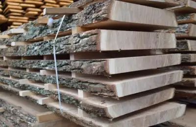 Choosing the Right Wood for Your Home: A Comparison of Walnut, Oak, Beech and Other Hardwood Species
