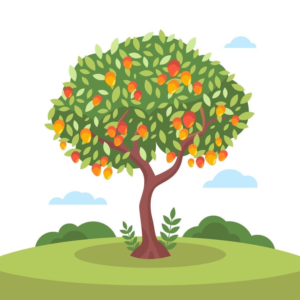 Plantarea unui pom fructifer în grădină – Ghid pentru alegerea și plantarea pomilor fructiferi