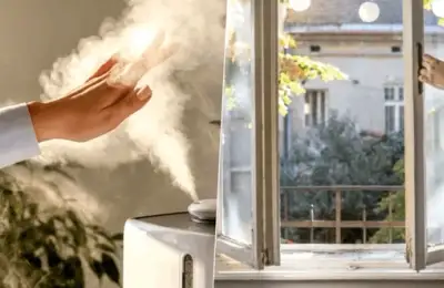 The Air in Your Home Is 5 Times More Polluted Than You Think.