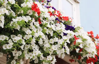 Common Gardening Terms Explained Simply