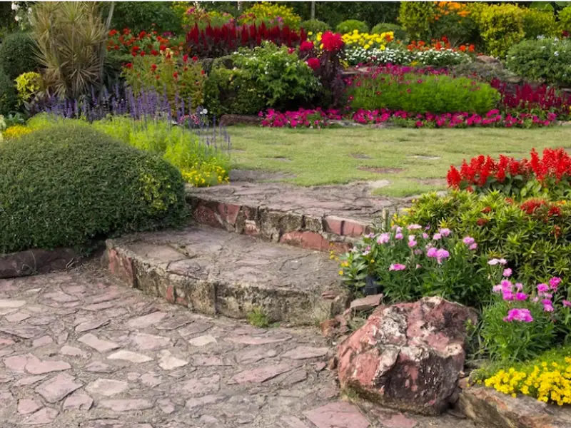 Top 6 ronduri de flori cu care poți da grădinii din fața casei farmec