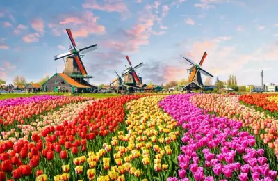 Keukenhof Park: The Story of its Creation