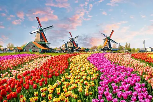 Parcul Keukenhof și povestea amenajării sale
