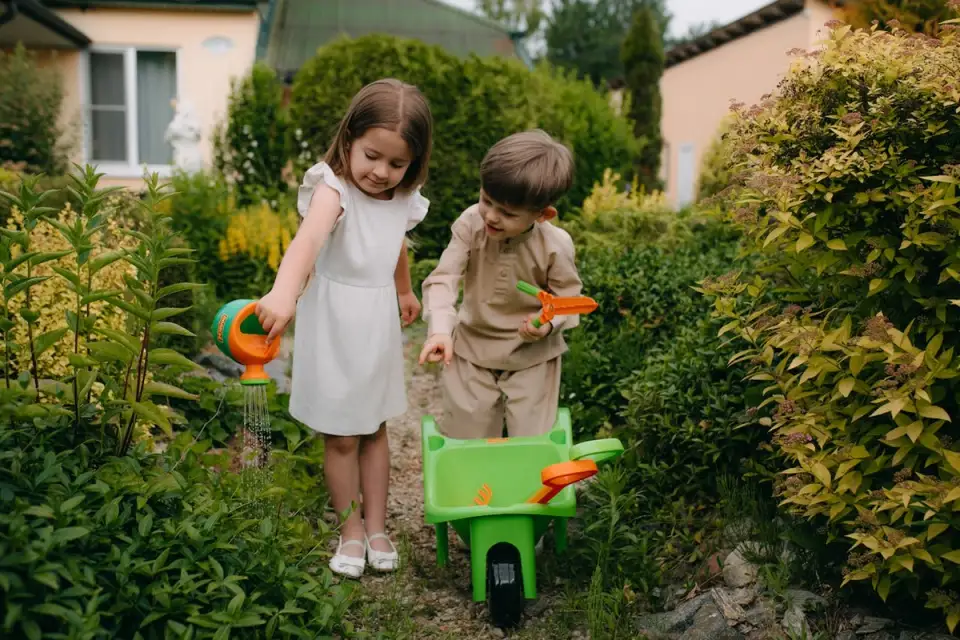 Ce nu trebuie să lipsească dintr-o grădină bine gândită