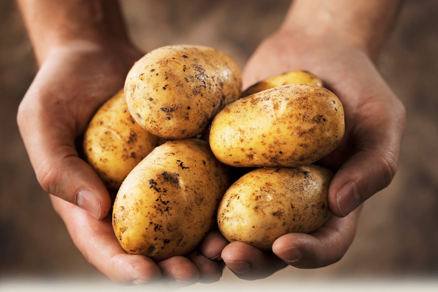 Tutorial: How to Plant Potatoes (VIDEO)