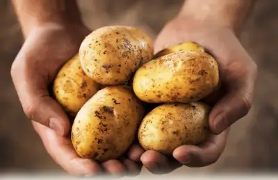 Tutorial: How to Plant Potatoes (VIDEO)