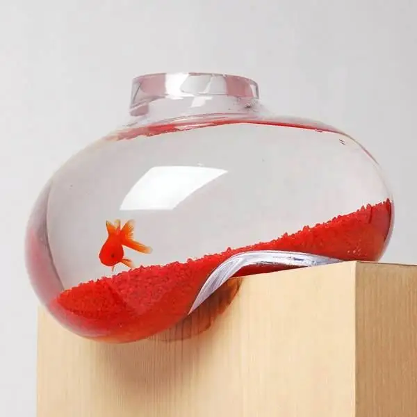 The Aquarium, an Oasis of Relaxation
