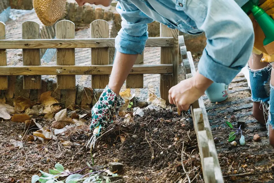 Cum să menții grădina fără buruieni și dăunători – Metode naturale și soluții eficiente pentru protejarea plantelor