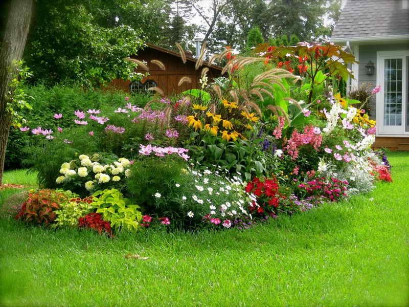 Gradina in stil englezesc – o simfonie de parfumuri si culori