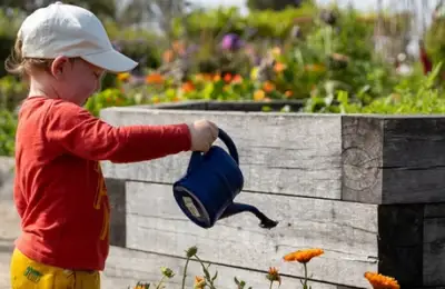 De la ecrane la natură, grădinăritul cu si pentru copii. Beneficii uimitoare pentru sănătate și fericire