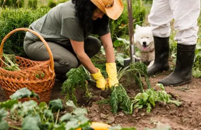 The Beginner's Vegetable Garden Guide: Simple Steps for a Bountiful Harvest