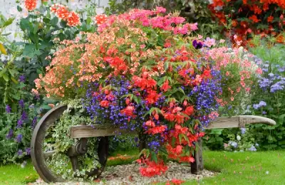 Garden Maintenance Tips