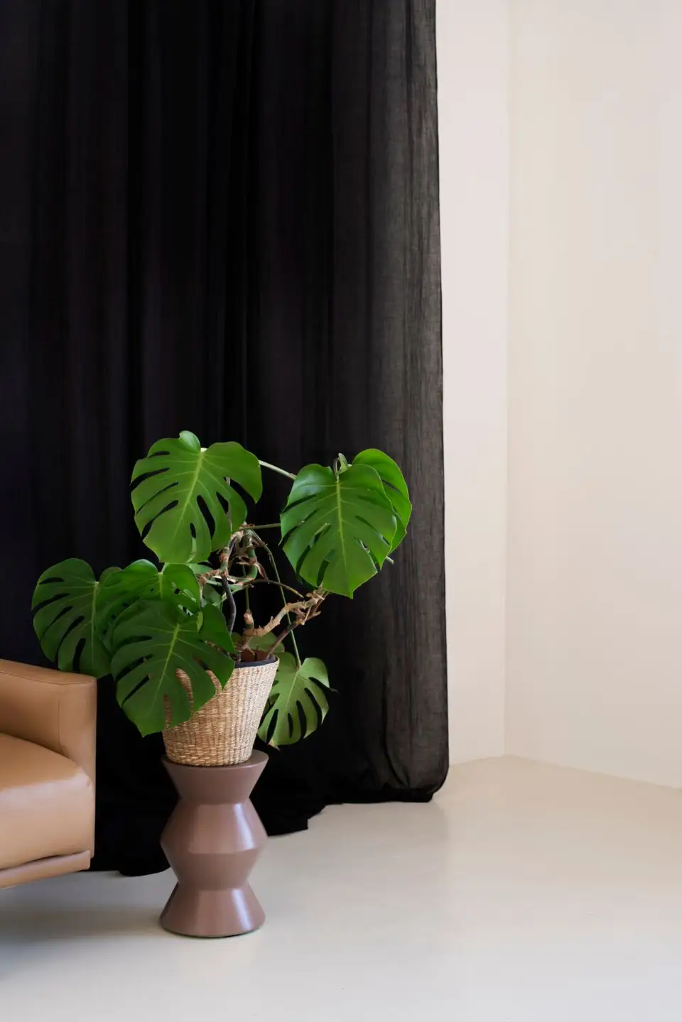 Grădina de Vis: Idei Practice pentru Amenajarea Spațiului Verde