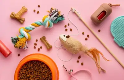 DIY Ideas for Pets