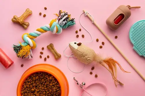 Idei DIY pentru animalele de companie