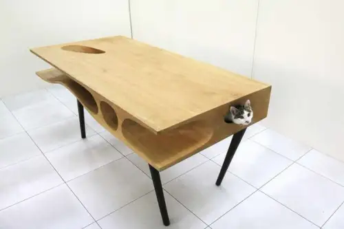 CATable sau PISImasa: Biroul care ii va ajuta sa lucreze pe cei care au pisica!