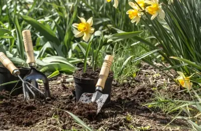 Top 10 Ideas for Preparing Your Garden for Spring