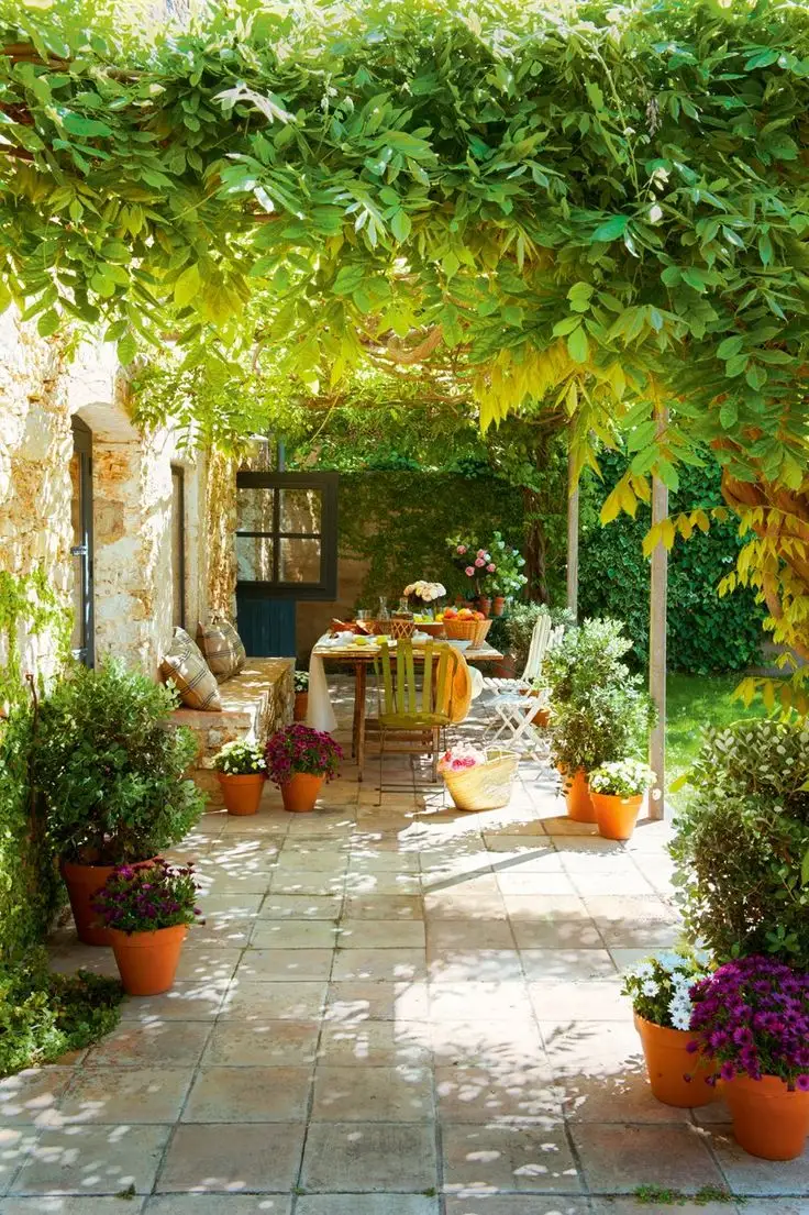 Pergola – aliatul nostru impotriva soarelui dogoritor al verii