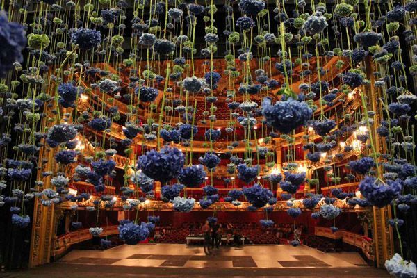 Florile suspendate in aer  un spectacol fantastic de culori, creatii Rebecca Louise Law