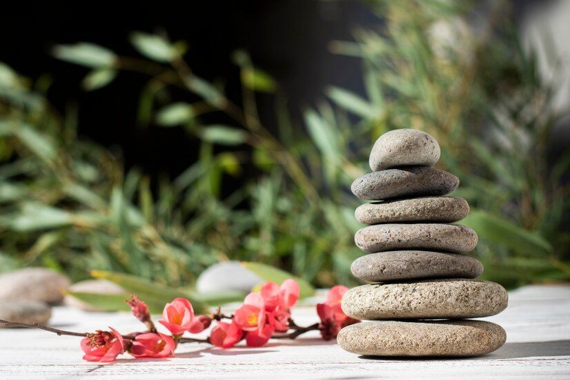 Cum să obții un design „zen” în grădina ta, indiferent de mărimea ei