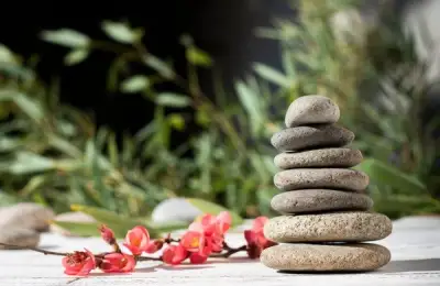Achieving a Zen Design in Your Garden, Regardless of Size
