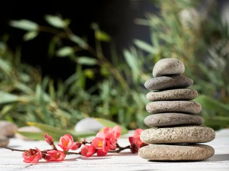 Cum să obții un design „zen” în grădina ta, indiferent de mărimea ei