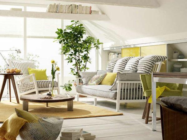 6 plante care aduc energie pozitiva si iti purifica intreaga casa