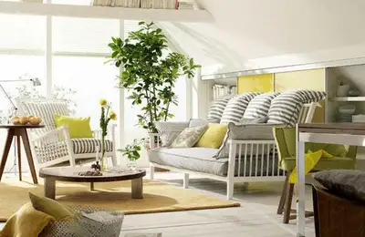 6 Plants That Bring Positive Energy and Purify Your Entire Home