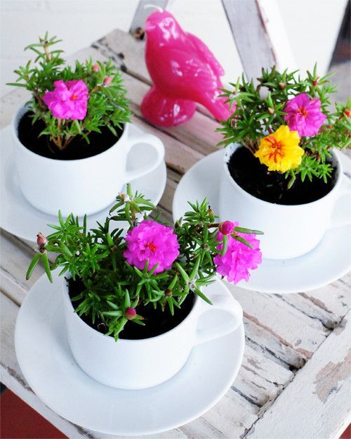 DIY Project: Flower Holder from Cups