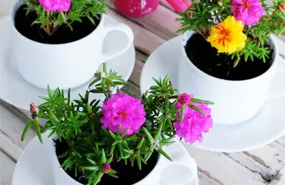 DIY Project: Flower Holder from Cups