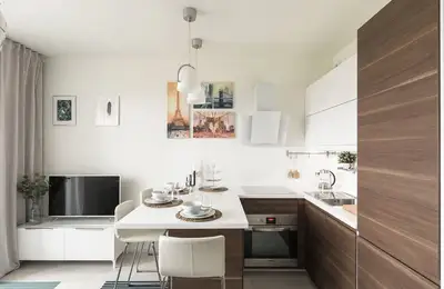 Functional Studio Apartment Layout Design