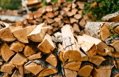 Why Beechwood is Preferred for Consistent Fire and Clean Burning