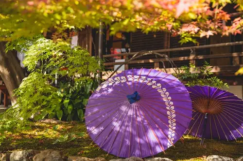 Top 5 umbrele DIY, ideale de folosit vara în curte