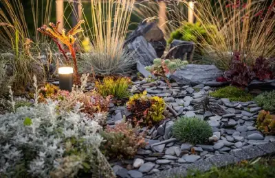 Innovative Landscape Design Ideas for a Small Yard