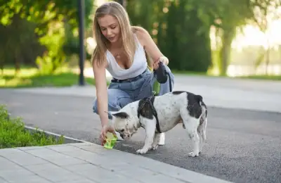 Pet Hydration During Heatwaves: Everything You Need to Know